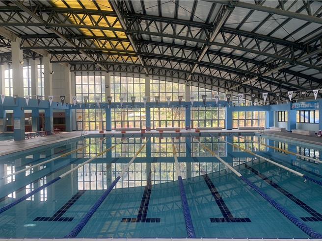 99国民体育日，新北运动中心游泳免费使用。（中和运动中心提供）