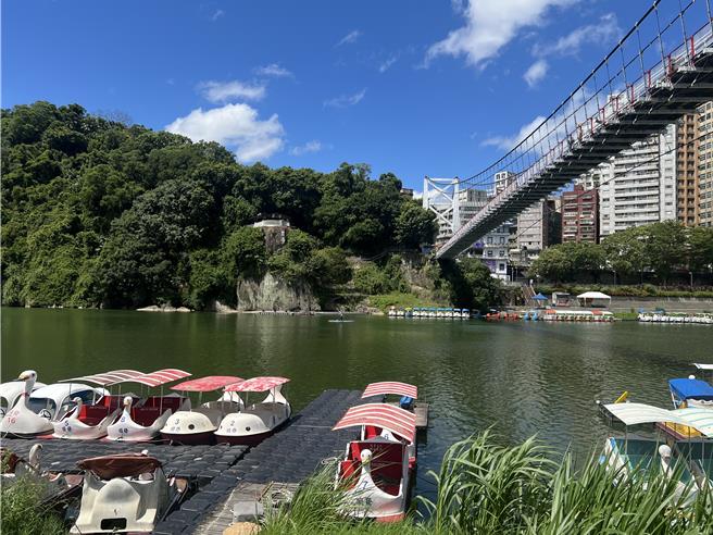 60岁林姓妇人今（5）日上午10时25分，于新店碧潭风景区不慎失足落水。（新店警分局提供）