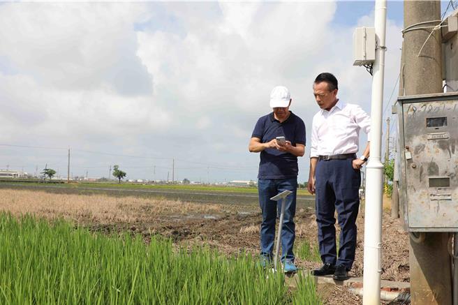 嘉义县长翁章梁到场了解水稻种植导入智慧农业技术情形。（吕妍庭摄）