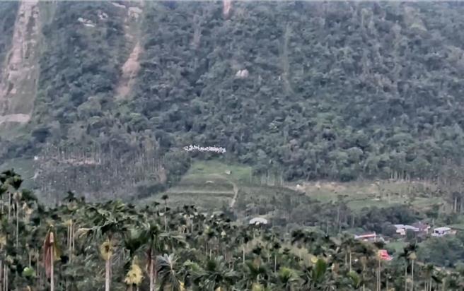 村民在今年8月底拍到黄头鹭迁徙的先遣部队，当时数量还不多。（民眾提供）