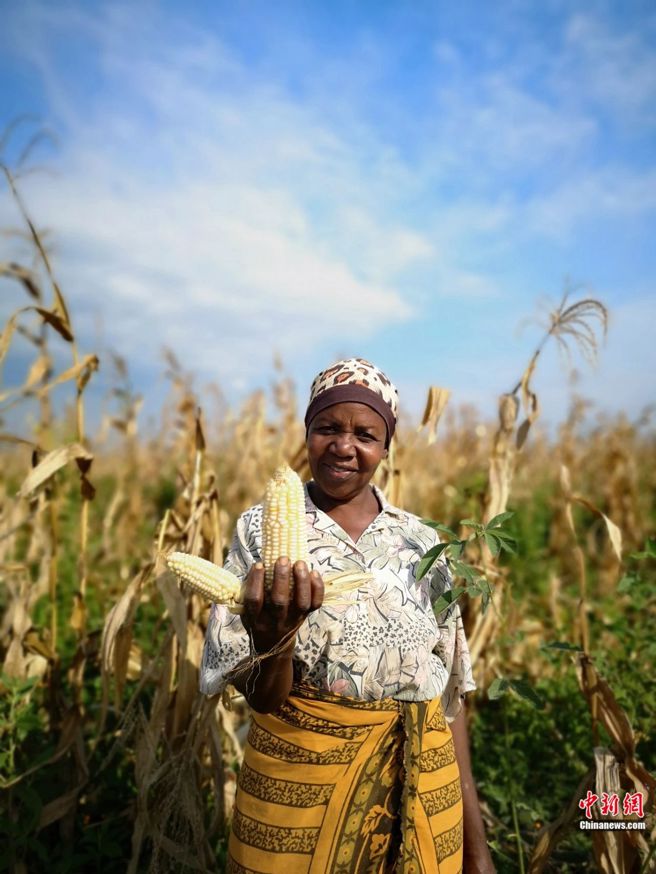 坦尚尼亚当地妇女手拿「小技术大丰收」项目收穫成果。（中新网）
