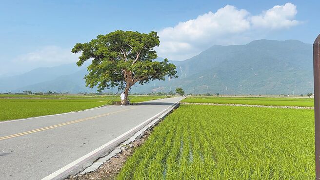 圖／本報資料照片