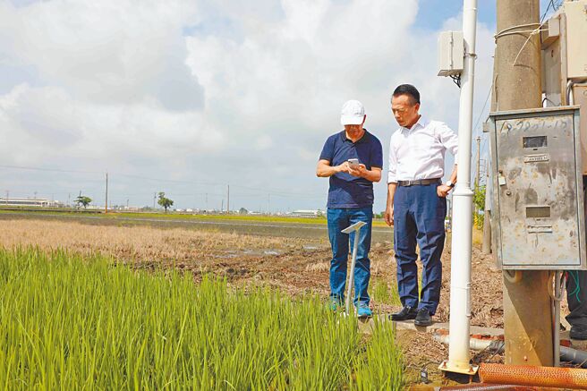 嘉义县5日举办「智能水稻管理系统成果观摩会」，县长翁章梁（右）现场了解智慧农业的创新应用。（吕妍庭摄）