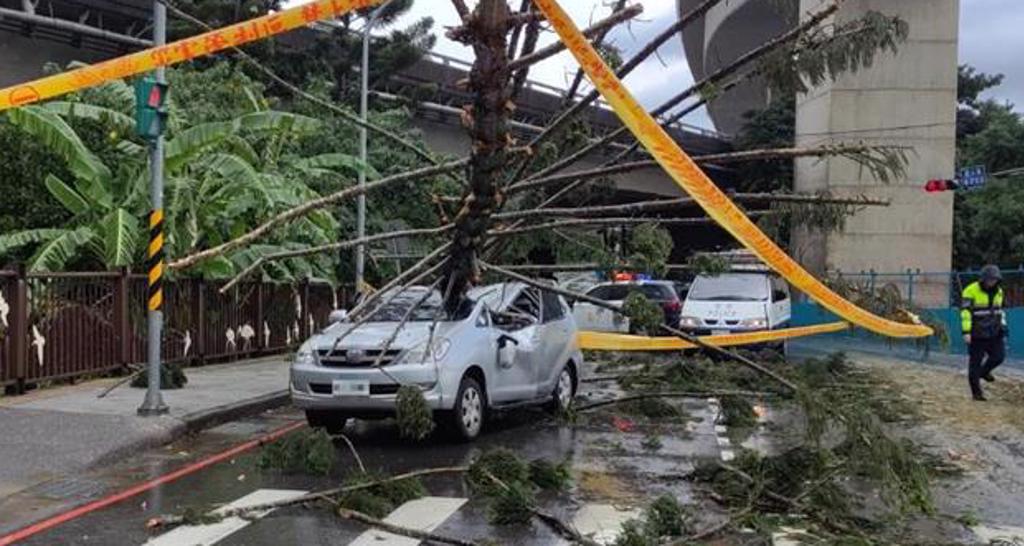 路樹倒塌整棵壓車頂 驚！車內2人嚇壞送醫無礙