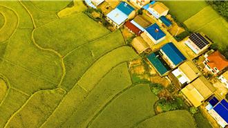 大陸白露採芡收稻穀摘核桃   豐收迎金秋