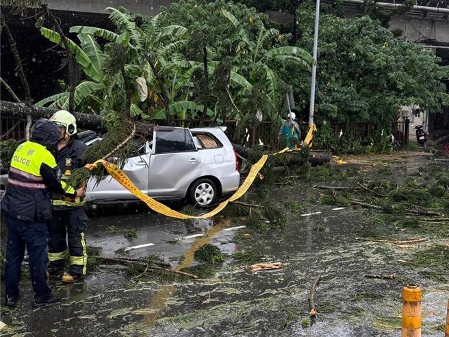 今（7）日上午氣象局發布北台灣大雷雨警示，土城區中央路四段就因強降雨發生1起路樹倒塌、整棵壓在自小客車上的意外。（土城警分局提供）