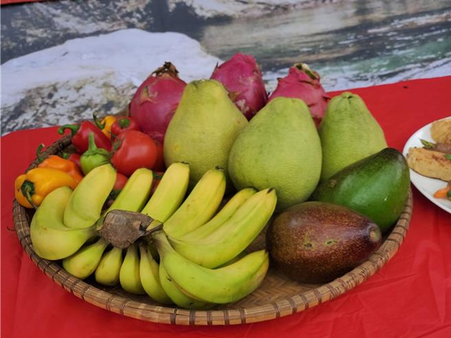 利用沼渣沼液施肥的水果相當健康。（周麗蘭攝）