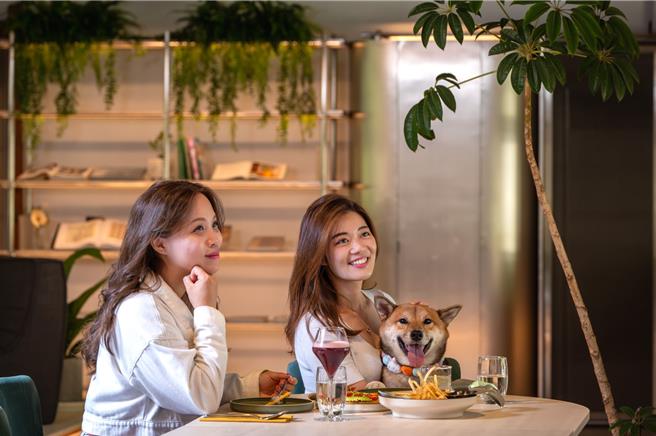 午后可揪姊妹下午開喝，再帶毛孩一起享受。(gonna＋提供)