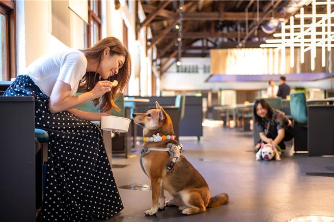 寵物落地友善，再享專屬餐點。（gonna＋提供） 