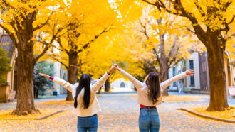 4生肖秋季走鴻運 屬馬工作表現出色 有望升職晉級