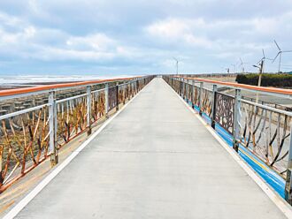 台中濱海自行車道整修 11月完工