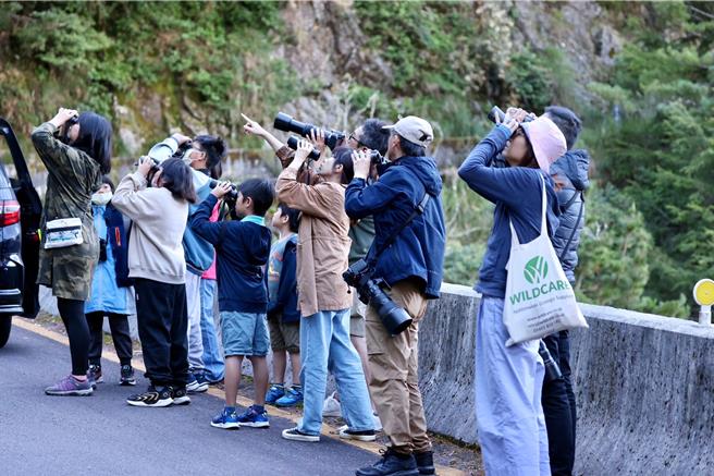  平时练就精湛辨识的参赛者们24小时内密集观察，在专业评审的检视下，让公民科学参与的大雪山「鸟口普查」更加完备。（林业保育署台中分署提供／张妍溱台中传真）
