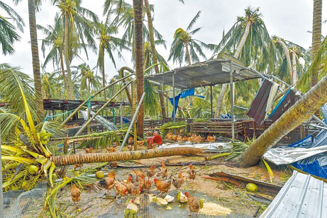 魔羯颱风6日、7日强袭海南，最大风力达17级，海南文昌的电力、农业、水利、园林等设施遭到重创。（中新社）