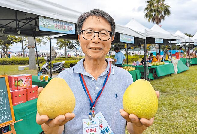 新北市2024年文旦柚果品評鑑競賽，由八里紅秋觀光果園的張讚群第5度稱霸拿下特等獎。（呂健豪攝）