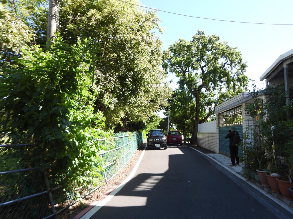 花蓮少年之家旁道路拓寬年底開工 芥菜種會無償提供土地