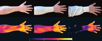 科學家終於瞭解蚊子獵捕我們的完整機制