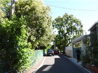 花蓮少年之家旁道路拓寬年底開工 芥菜種會無償提供土地