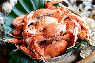 秋蟹宴！40隻萬里蟹迎賓登場