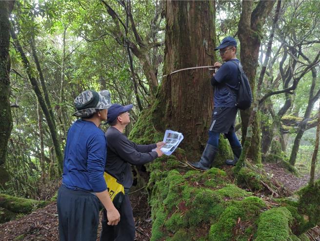 林业保育署宜兰分署森林护管员招考将在11月9日至10日登场，今（9日）起接受报名。（林业保育署宜兰分署提供／吴佩蓉宜兰传真）