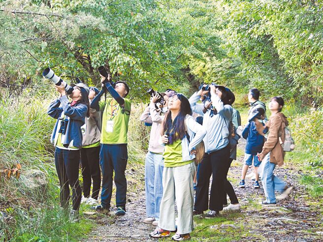 林業及自然保育署台中分署8日指出，第14屆「大雪山賞鳥大賽」，自9月6日上午10時至7日上午10時，歷經24小時馬拉松式賞鳥觀察，共記錄136種鳥類。（林業及自然保育署台中分署提供／張妍溱台中傳真）