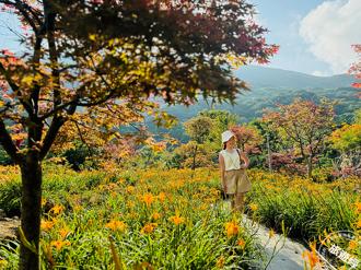 去竹子湖「田間美術館」藝術小旅行 探索火山爆裂口、賞金針花海