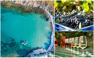 土耳其博茲賈島 坐擁美麗海岸線 每年9月舉辦葡萄特別慶典