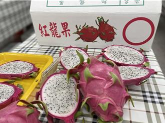 台中紅龍果王誕生！外埔農民奪冠 夏季消暑首選