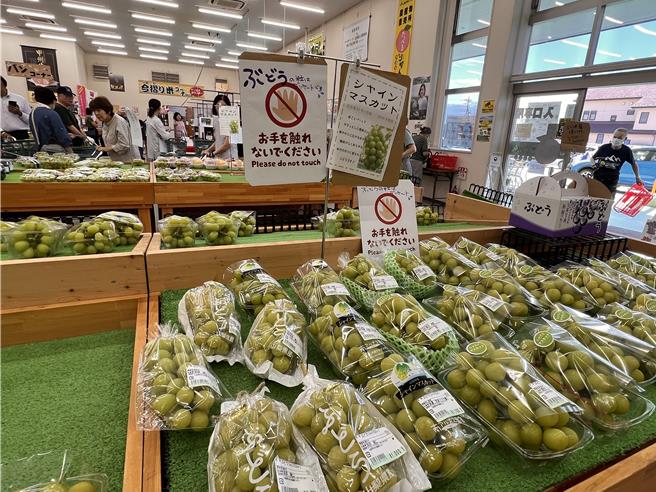 日本产季经常可见的麝香葡萄，台湾也能平价吃得到。（吴奕萱摄）