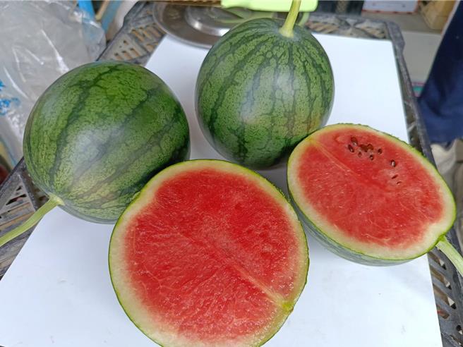 小西瓜外型小巧可爱，其特色为籽少、甜度高，且不用担心吃不完。（叶静美摄）