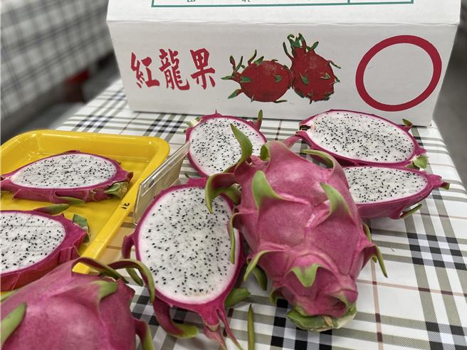 台中市政府農業局10日指出，台中市以生產白肉種紅龍果為主，產期為每年6月至11月，果實呈橢圓形，果皮狀似龍鱗，鱗片修長且紅色中帶著鮮綠色，口感清甜爽脆。（台中市政府提供／張妍溱台中傳真）