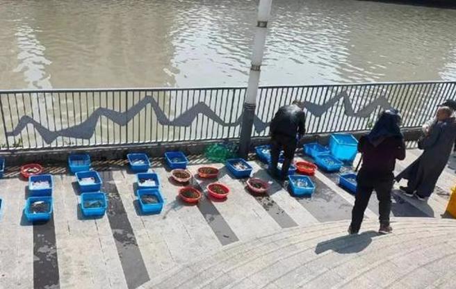 图为在苏州河岸出售活鱼供民眾「放生」的鱼贩。（图／网易）