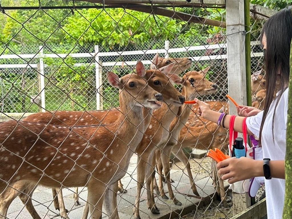 旅遊業者獻愛公益 助百位育幼師生暢遊屏東