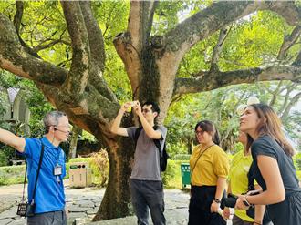 淡水古蹟博物馆推「植」感散步 古蹟日探索红毛城生态