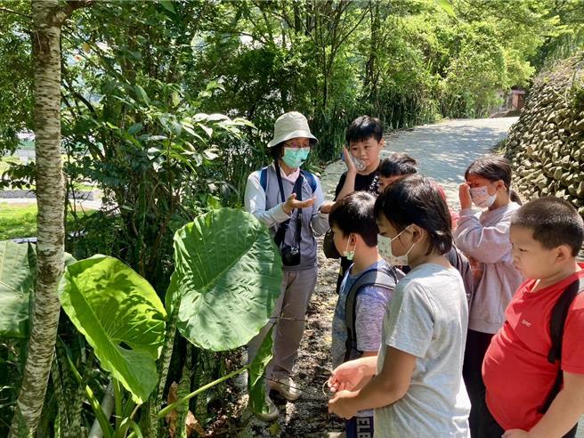 南豐德固達雅賽德克族民族小學實驗課程，帶孩子走讀山林，認識傳統香料。（校方提供／楊靜茹南投傳真）