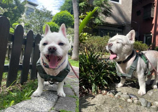 米歇尔已经18岁依旧活力满满。（图／自由试娱乐提供）