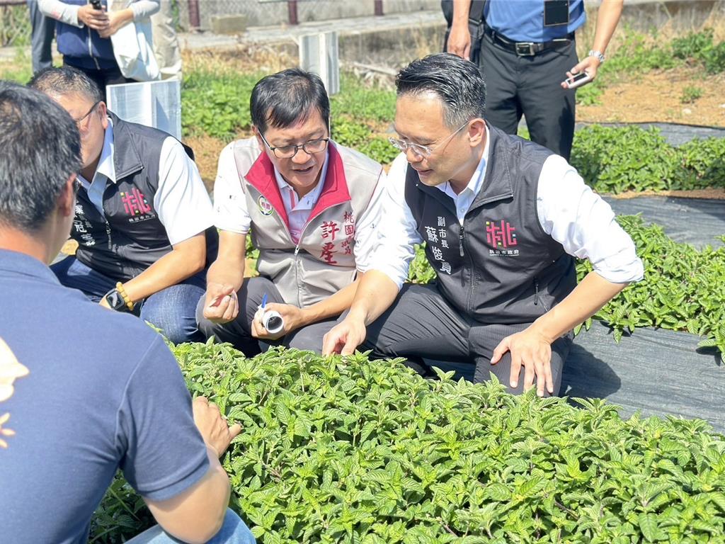 桃園環保農膜有效降低土壤溫度 減少塑膠農膜廢棄物