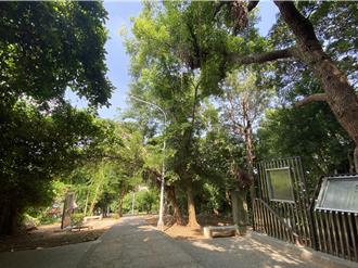 緬懷跨語詩人林亨泰 彰化八卦山文學步道第14座詩亭揭幕