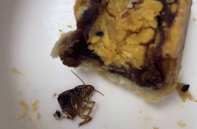 一名蔡姓女子指控不二糕饼的蛋黄酥有蟑螂，引发轩然大波。（翻摄爆料公社脸书）