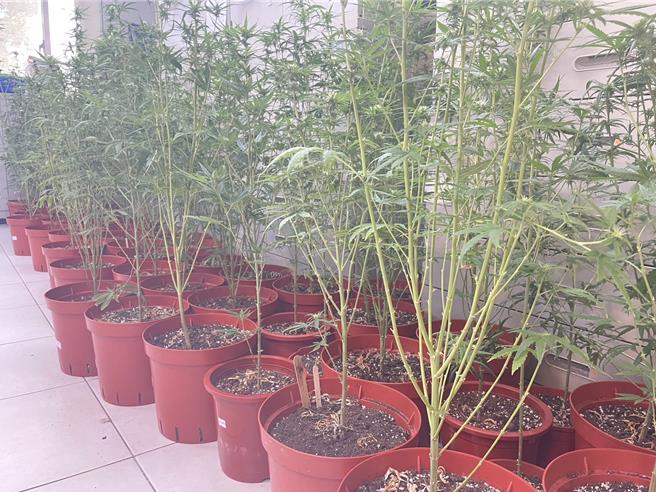 警方查扣证物。（新北刑大提供）