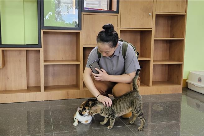 屏東縣政府力推寵物登記，完成登記即有超商100元禮券，另外還有抽獎活動，有Apple iPad等獎品。（羅琦文攝）