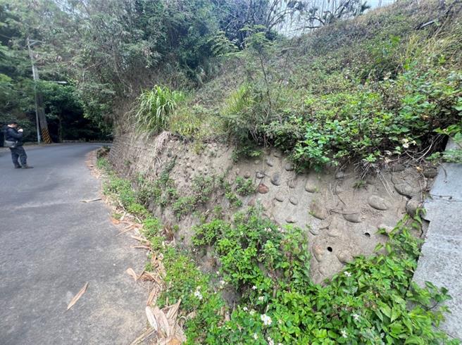 台中市潭子区新田里龙兴巷可通往新田登山步道，因路面老旧、龟裂且凹陷，连边坡的浆砌卵石挡土墙有多处破损，造成坡面裸露，土石易掉落，危及行车安全。（张妍溱摄）
