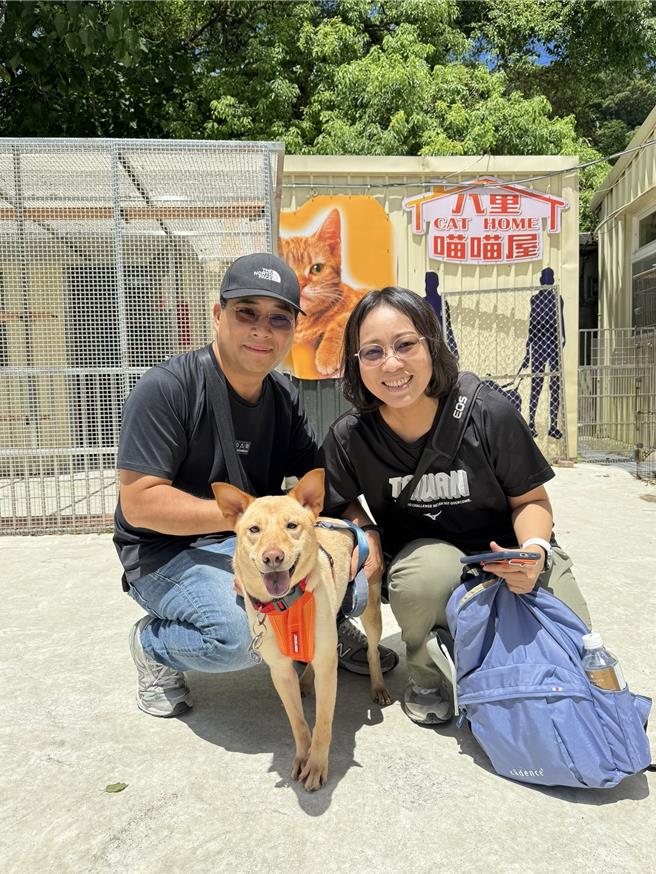 動保處歡迎民眾前來八里動物之家認養毛寶貝。（動保處提供）