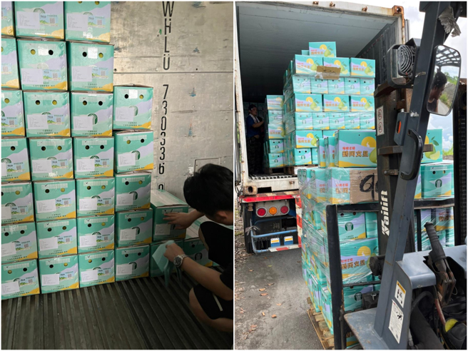 花蓮文旦柚中秋節前大多銷售完畢，圖為瑞穗鄉農會文旦柚裝箱。（花蓮縣府提供／王志偉花蓮傳真）