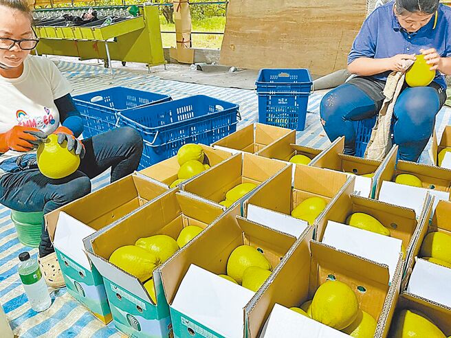 （圖／花蓮縣政府提供）