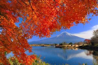 到日韓賞楓看這裡 飛東京首爾優惠機票7500起