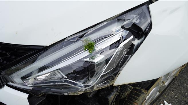 车灯裂缝还卡着树叶。（宝智华摄）