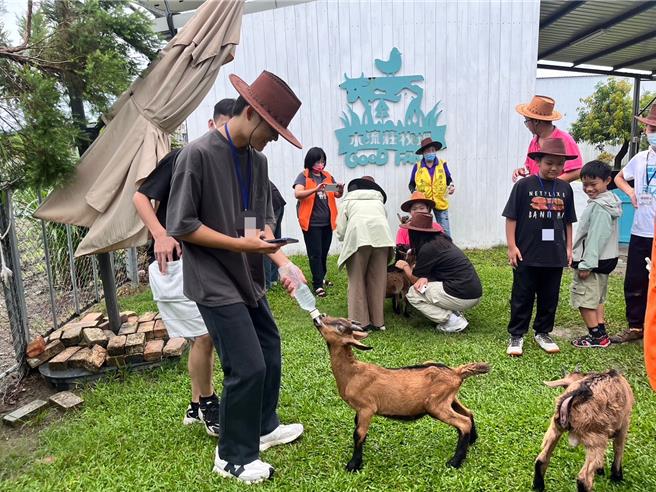 在少年队、少辅会的带领下，青少年们化身1日牧羊人。（画面翻摄／纪爰高雄传真）