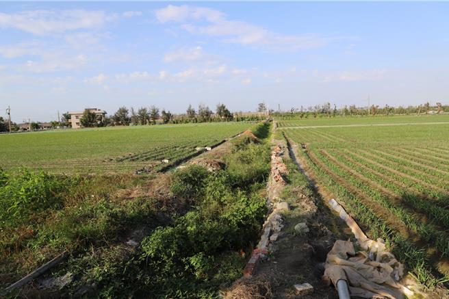 农地早期只开放自耕农购买，导致「借人头」的状况非常普遍。（示意图。云林县政府提供／张朝欣云林传真）