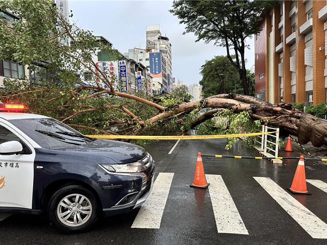 大樹倒塌橫在路中，警方到場拉起封鎖線，進行管制及引導車輛改道。（警方提供／郭良傑高 雄傳真）