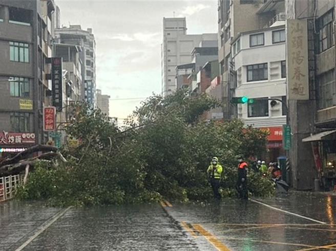倒塌的大樹待工務局派員進行切割及清移。（民眾提供／郭良傑高雄傳真）